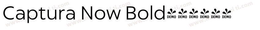 Captura Now Bold字体转换